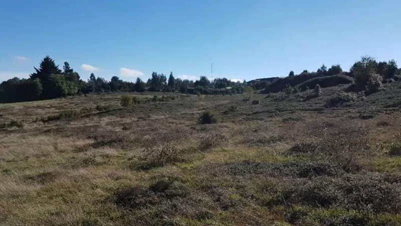 Parcelas Altos del Valle