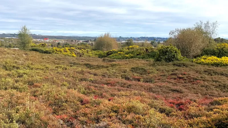 Parcelas Altos del Valle
