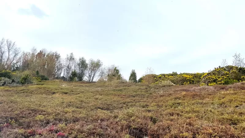 Parcelas Altos del Valle