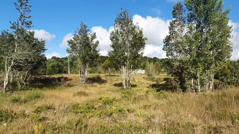 Parcelas Altos del Valle