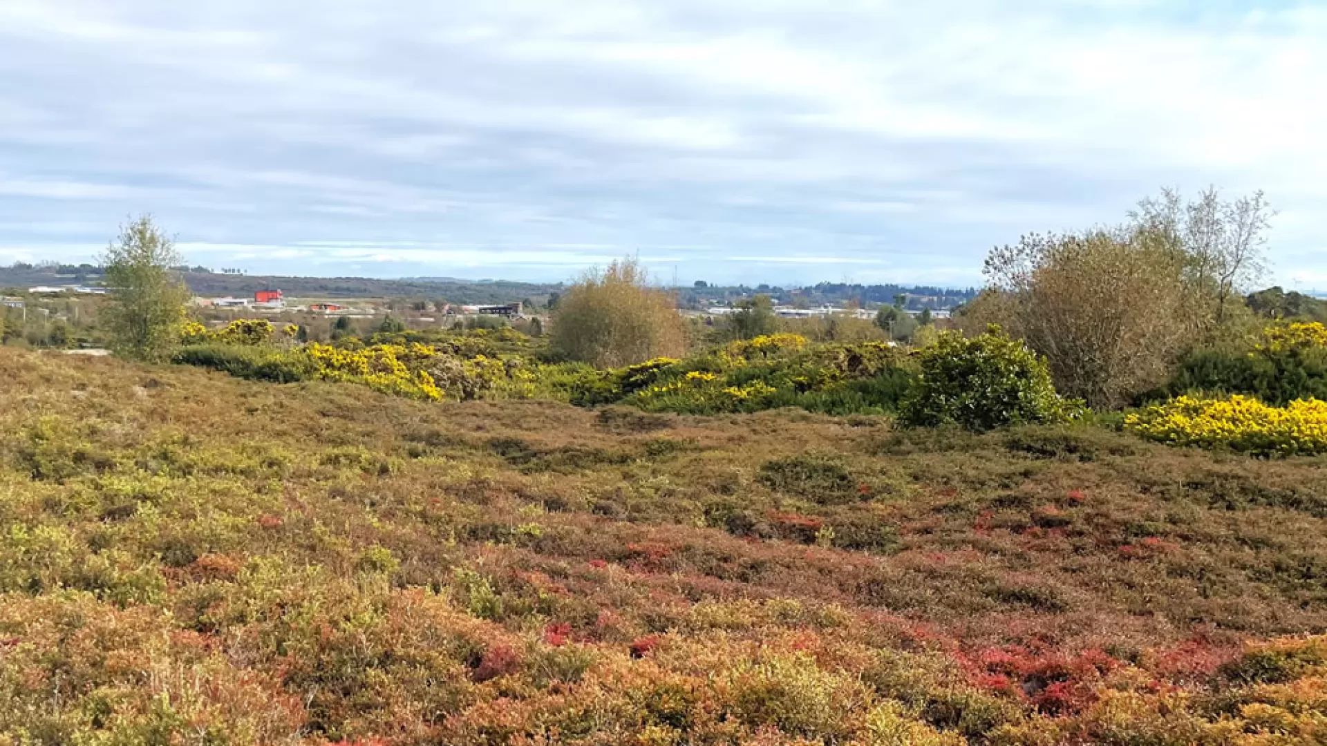 Parcelas Altos del Valle